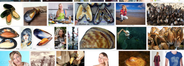 Screenshot duck duck mussel women 6 11 18