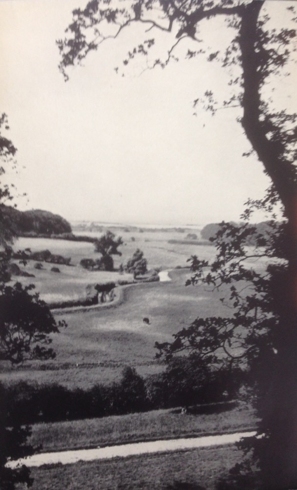 Norfolk_Farm_Williamson