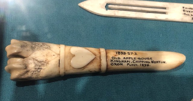 Pitt-Rivers-apple-gouge